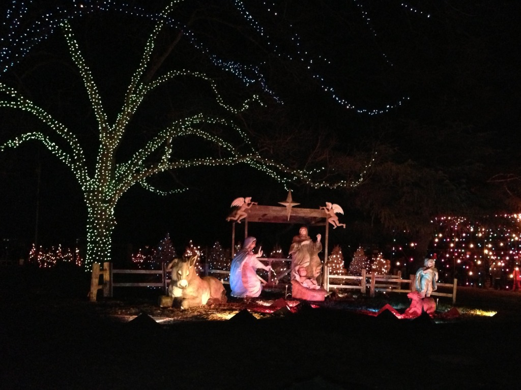 2012/12(Dec)/10(Before Christmas Fun)/1024x768_2012-12-21 18 Trail of Lights.jpg